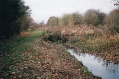 pic3